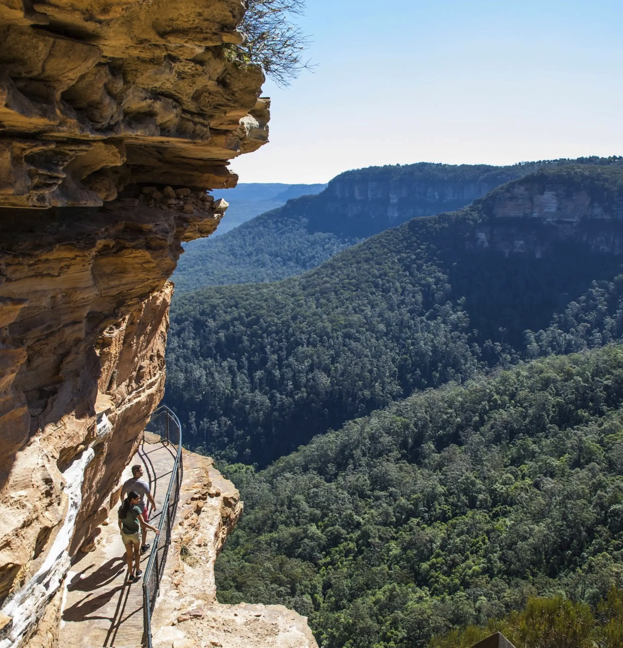 Wentworth Falls Track