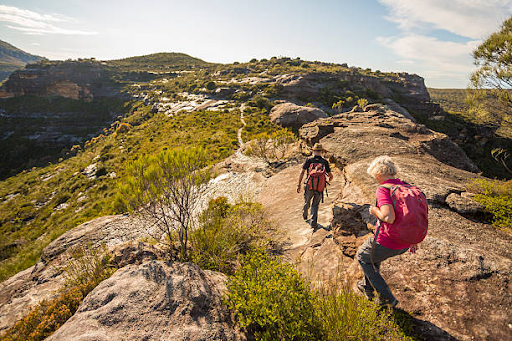 Blue Mountains Walking Tracks