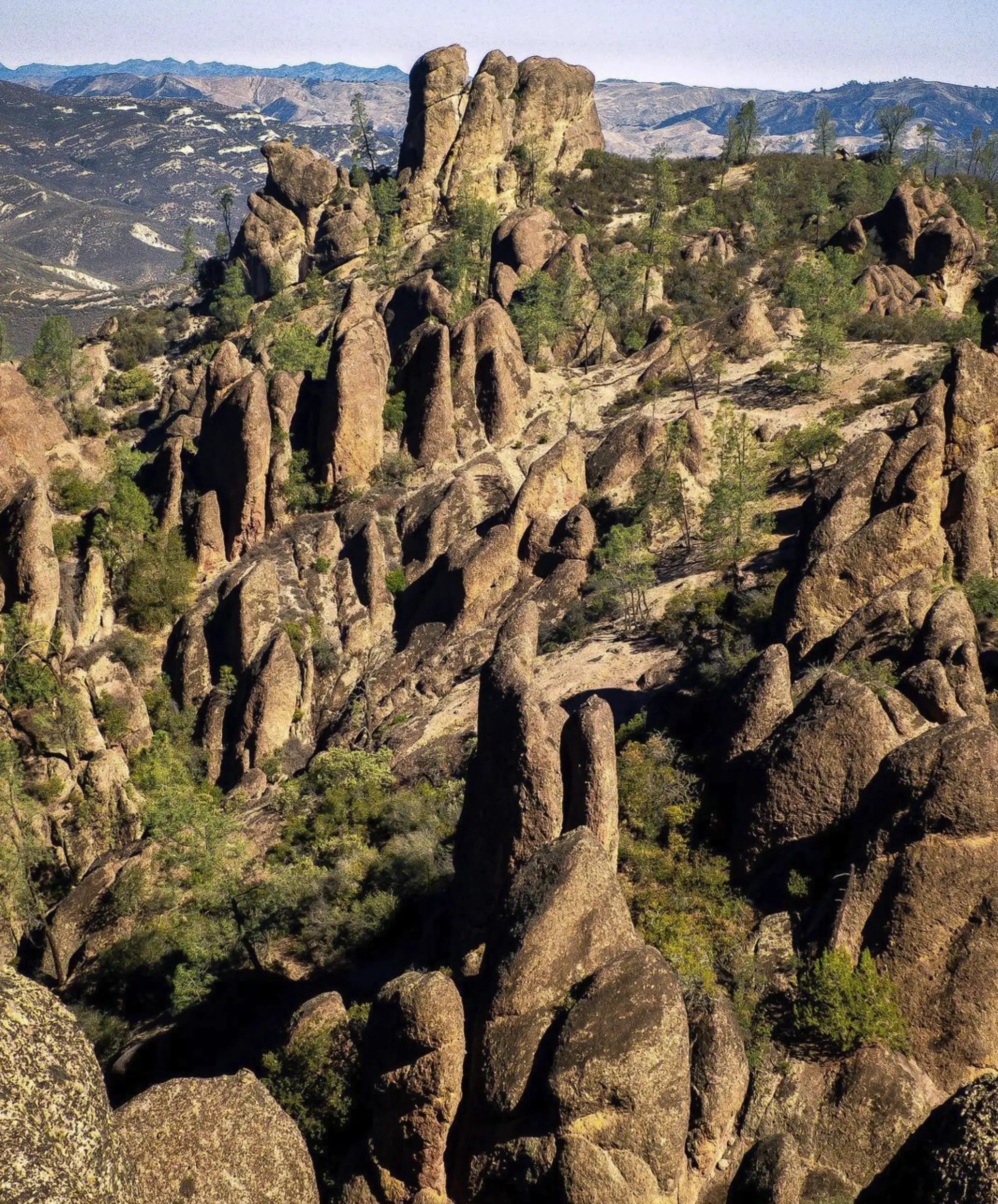 Pinnacles National Park tour