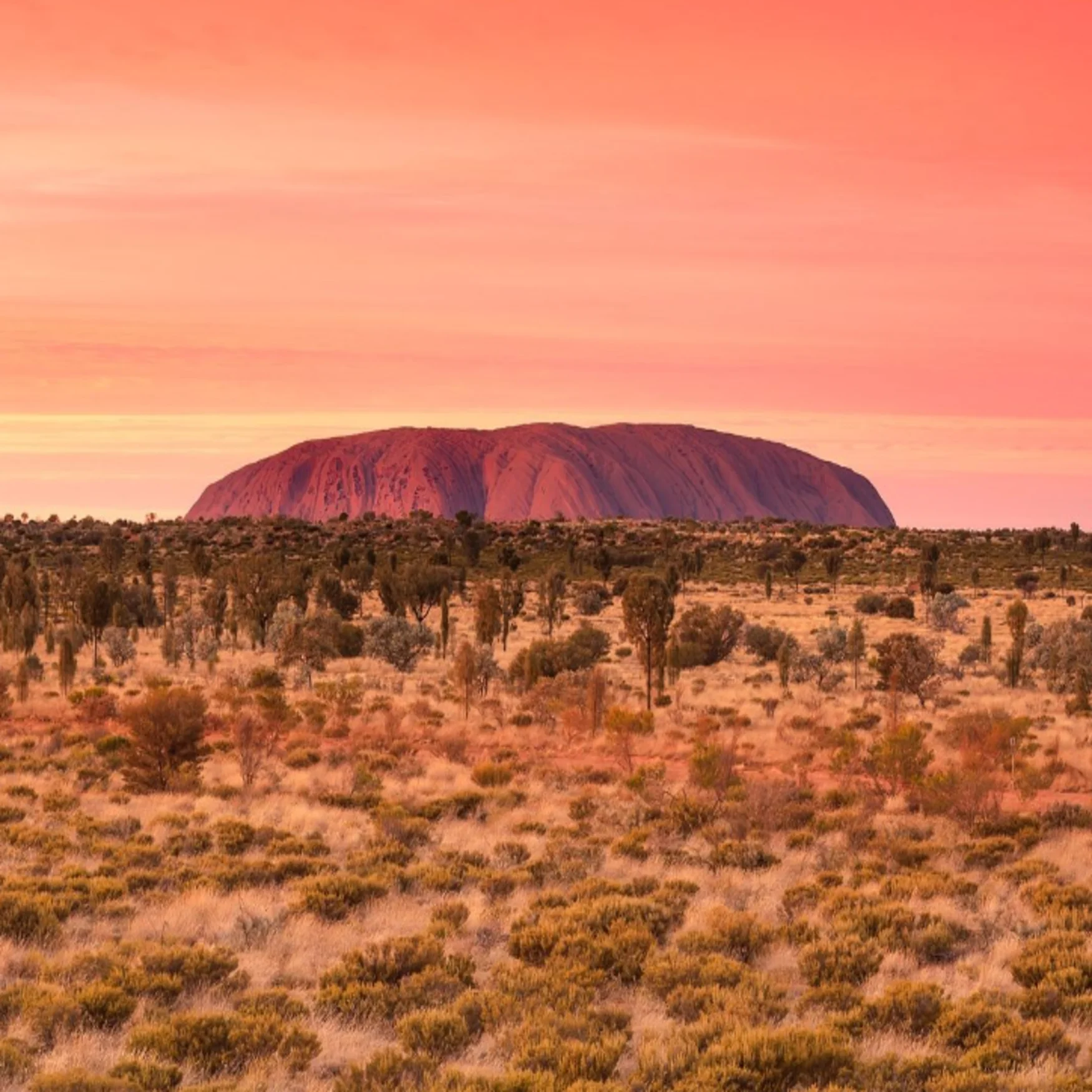 Uluru Rock