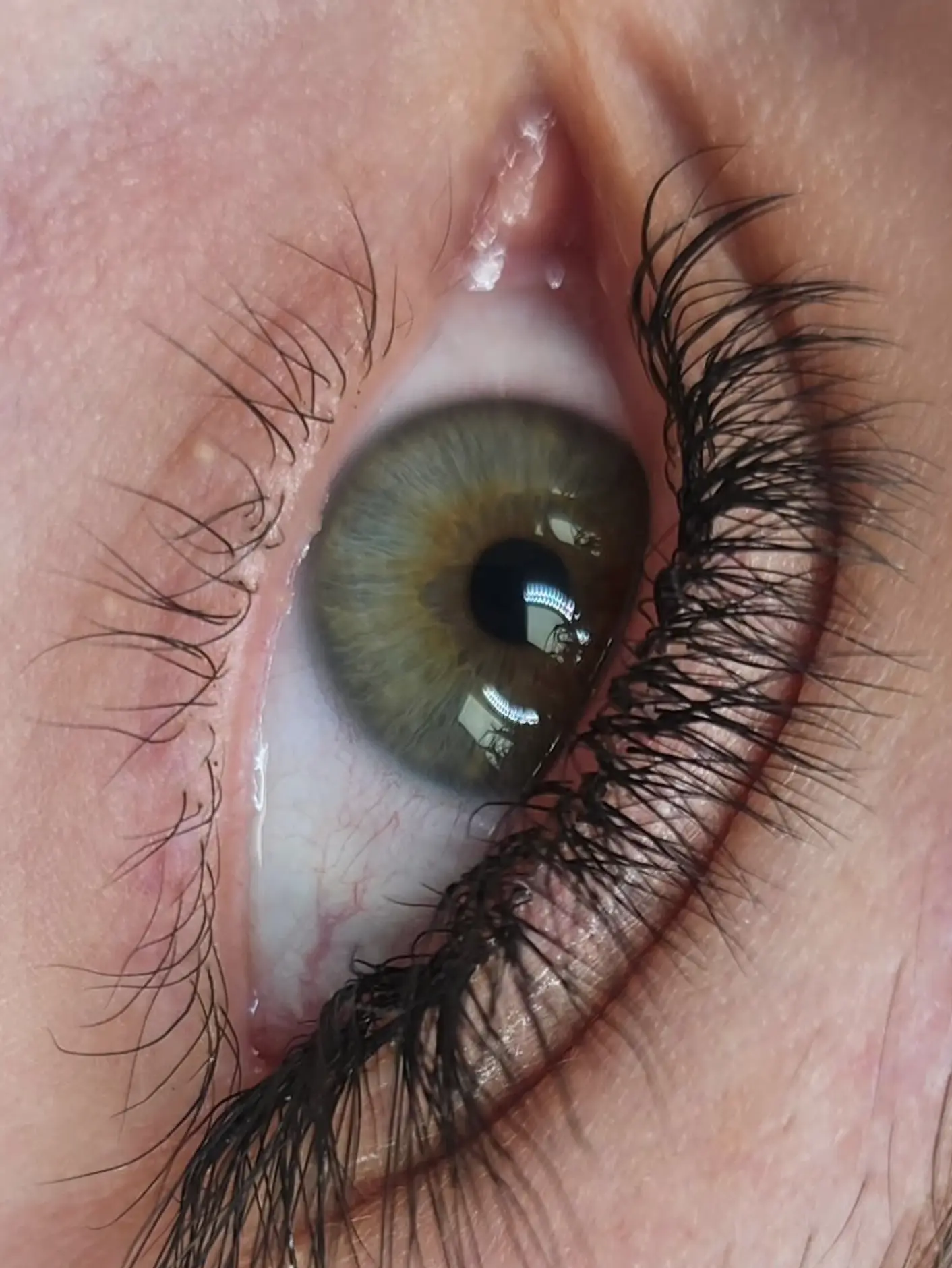lash lift for short lashes