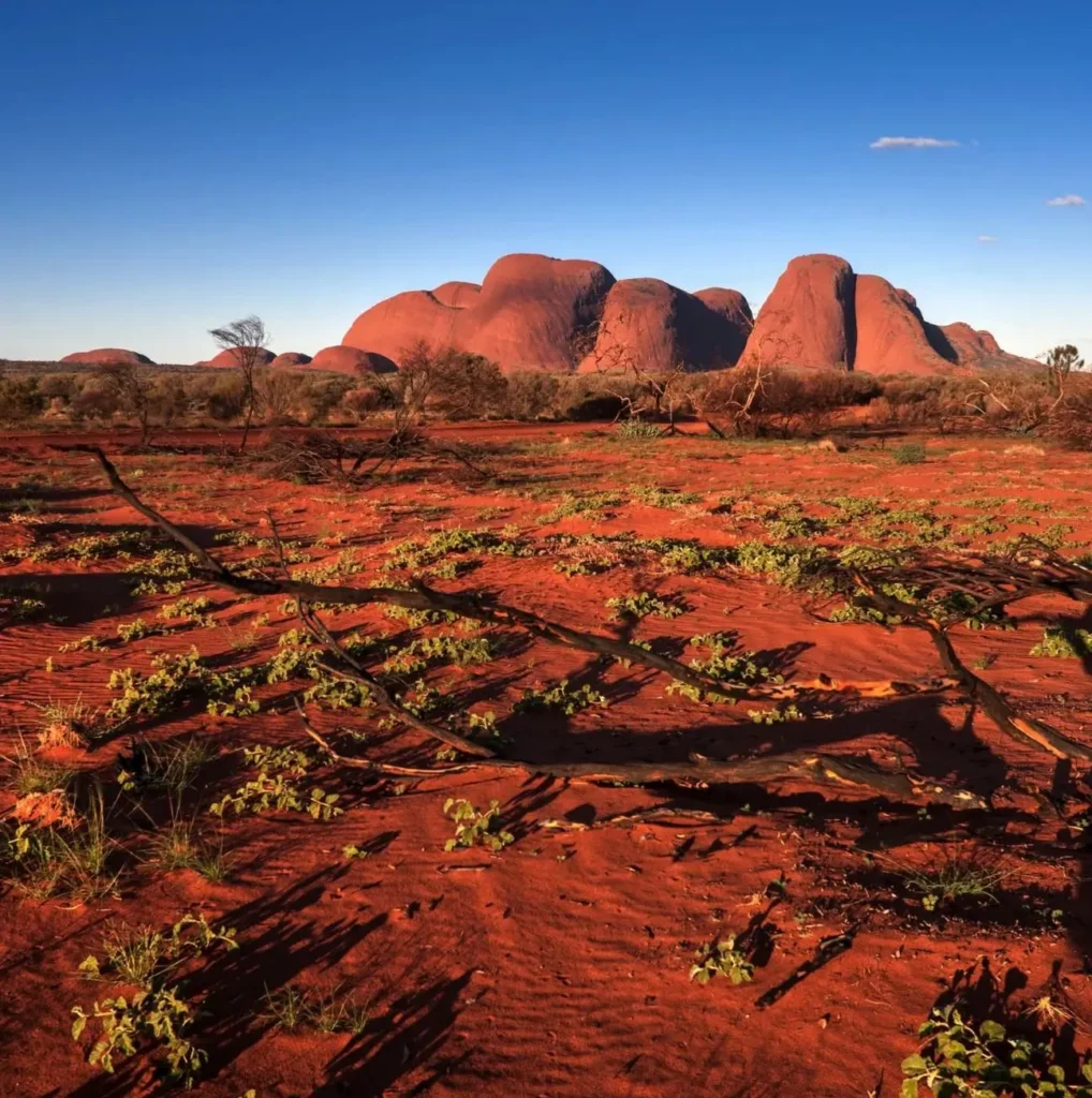 How to See Uluru on a Tight Budget from Yulara